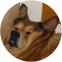 Kacper Rak profile picture